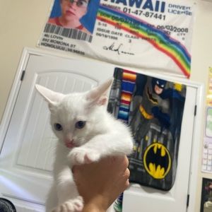 Meet your Posher, Skylar